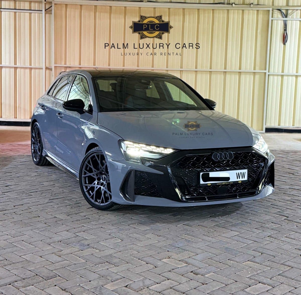 Audi RS3 Performance